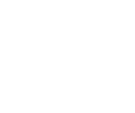 REBEL MOVES